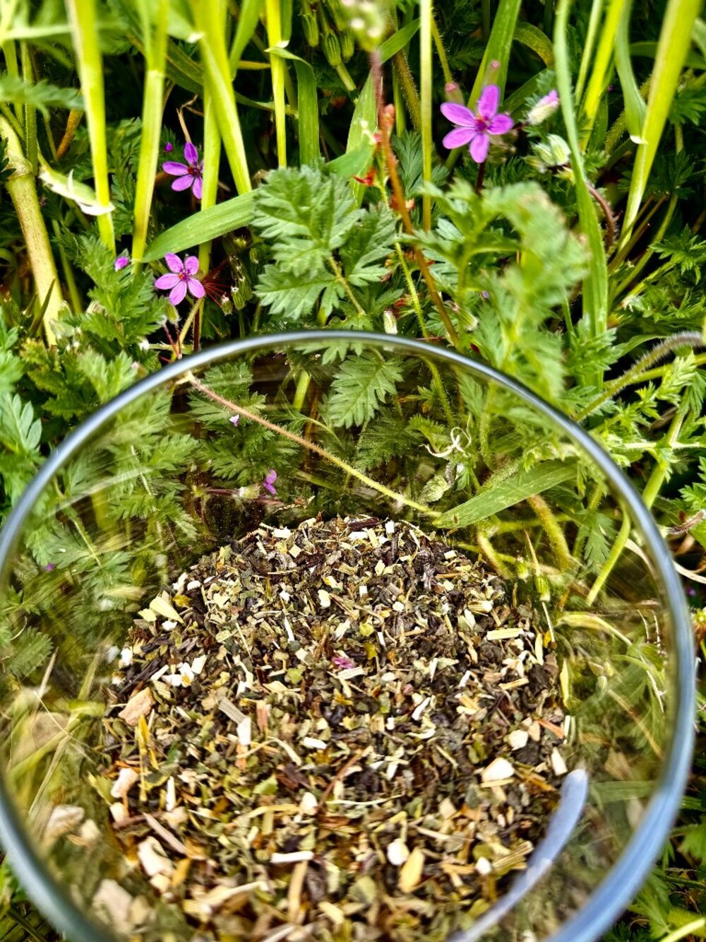 1oz Down To Earth: Uplift & Replenish Loose Leaf Tea Blend